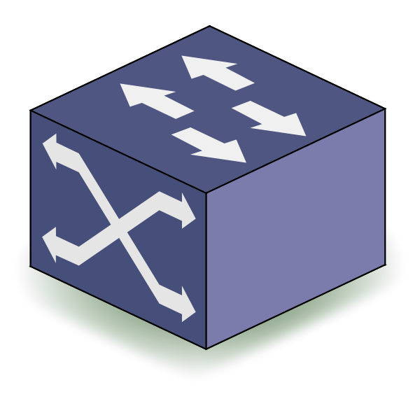 SVG Layer 3 switch