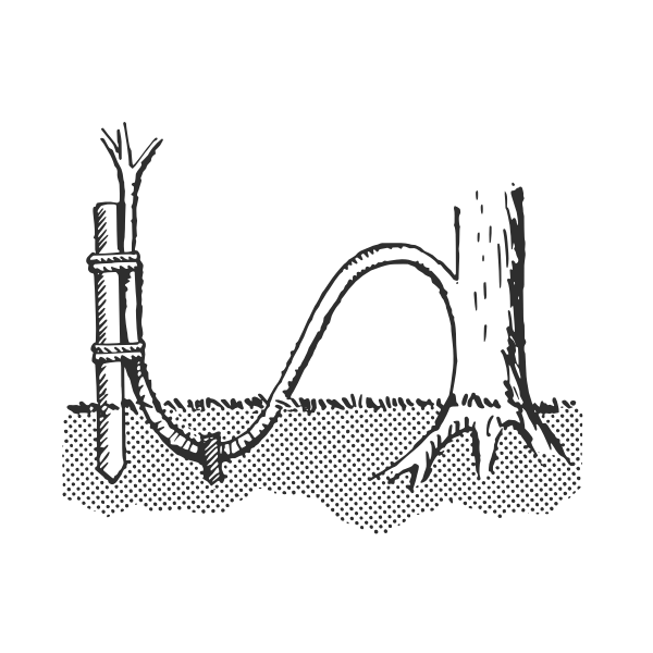 SVG Layering-plant technique