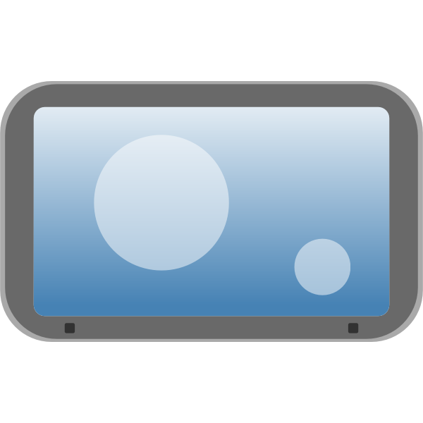 SVG LCD Widescreen Monitor