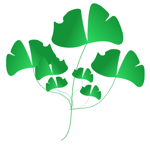 SVG Leaf