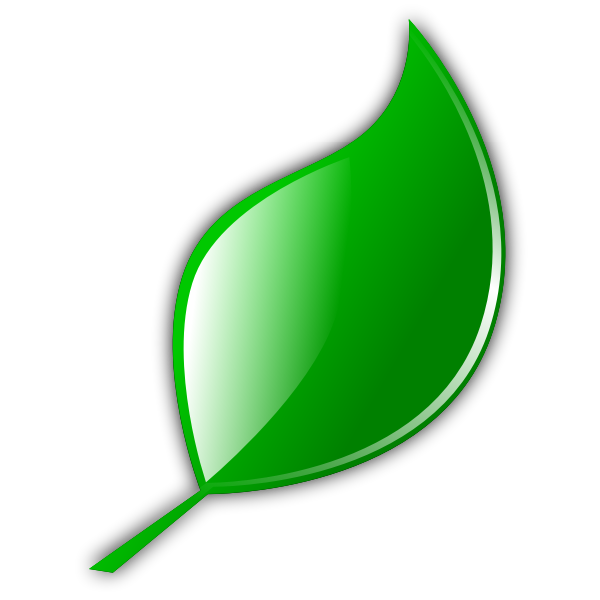 SVG Leaf