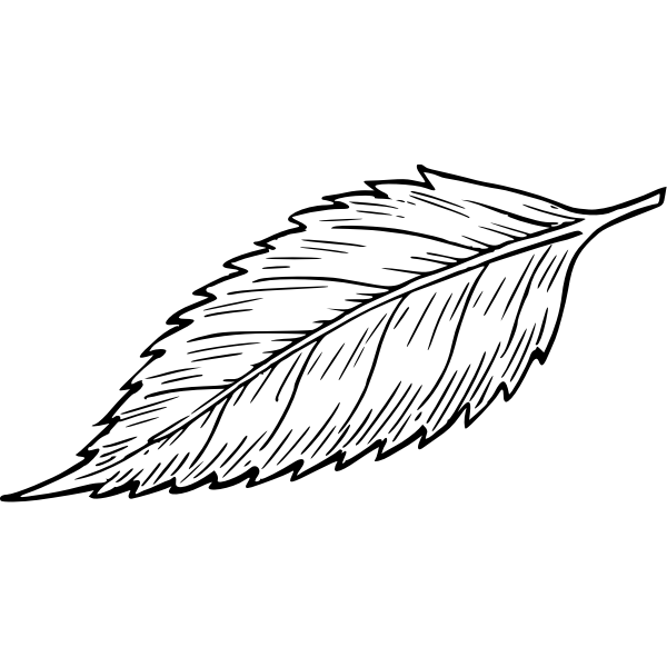 SVG Leaf 8