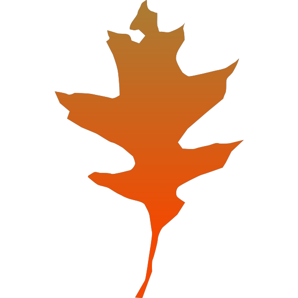 SVG leaf oak