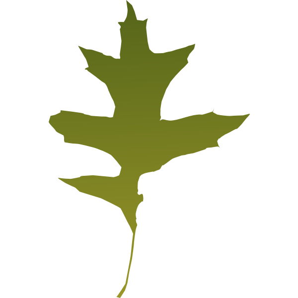 SVG leaf oak green