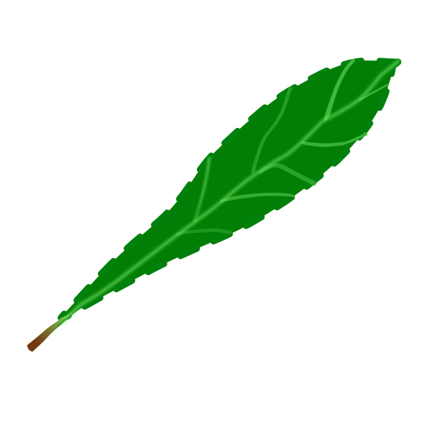 SVG Leaf petal