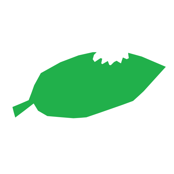 SVG Leaf refixed
