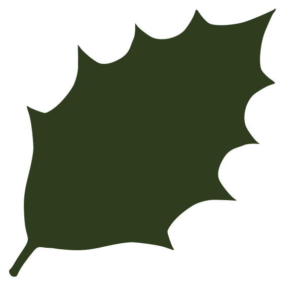 SVG Leaf silhouette vector