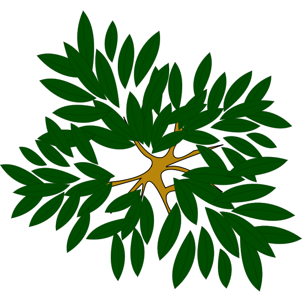 SVG Leafy plant