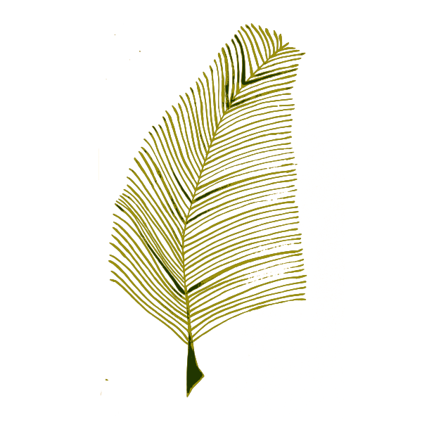 SVG Leafy twiggy plant