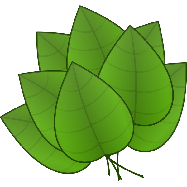 SVG Leaves