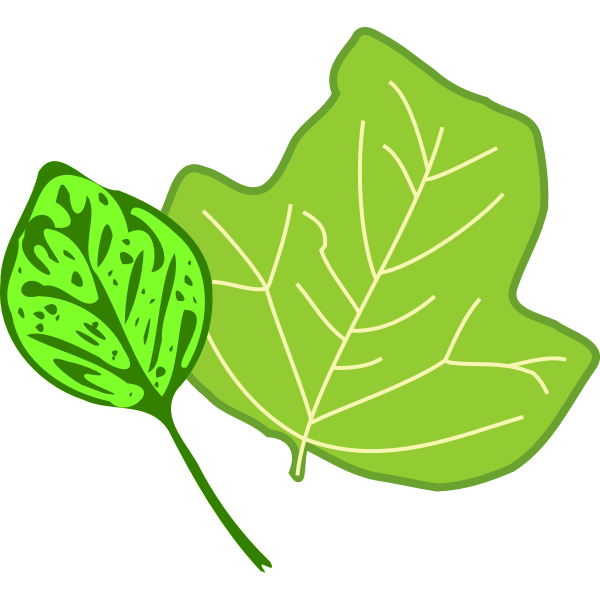SVG Leaves