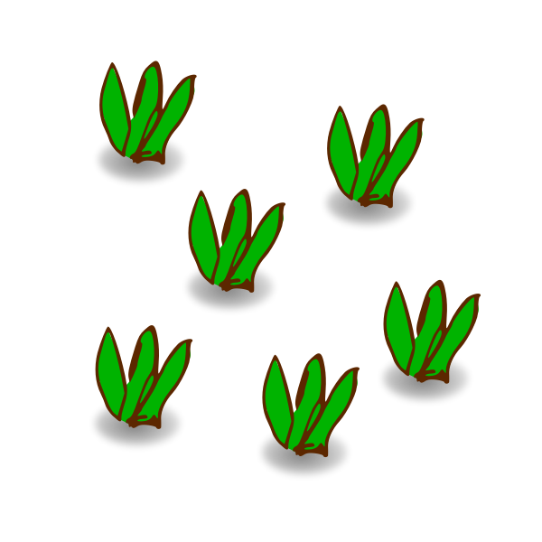 SVG Leaves of grass vector drawing