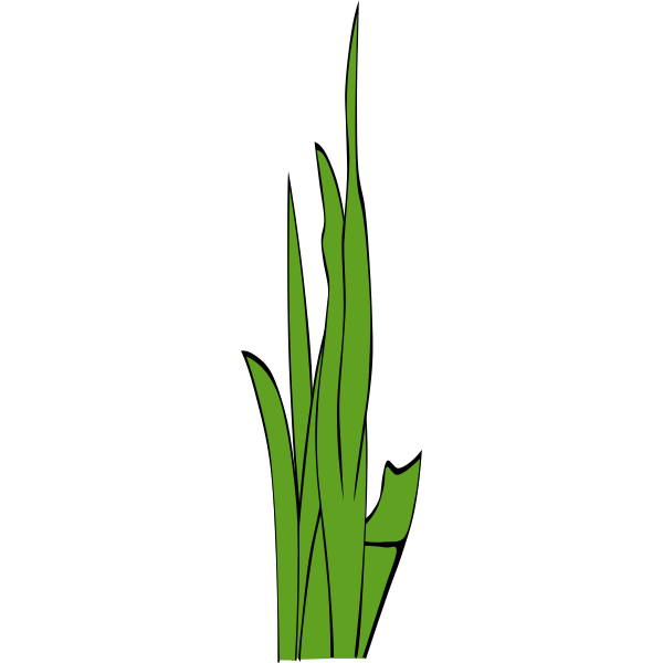 SVG Leaves of grass vector illustration