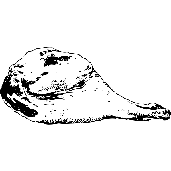 SVG Leg of mutton vector drawing