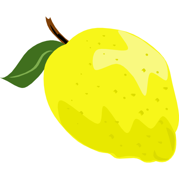 SVG Lemon or lime vector graphics with leaf