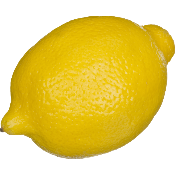 SVG Lemon vector illustration