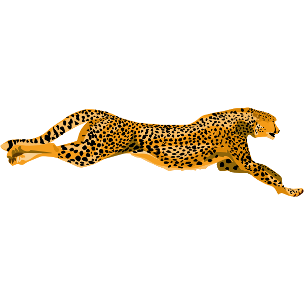 SVG Leopard cheetah vector image