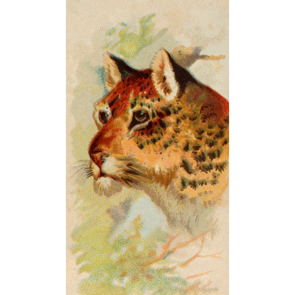 SVG Leopard iilustration