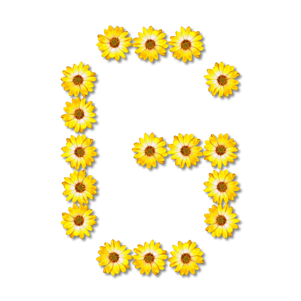 SVG Letter G in flowers