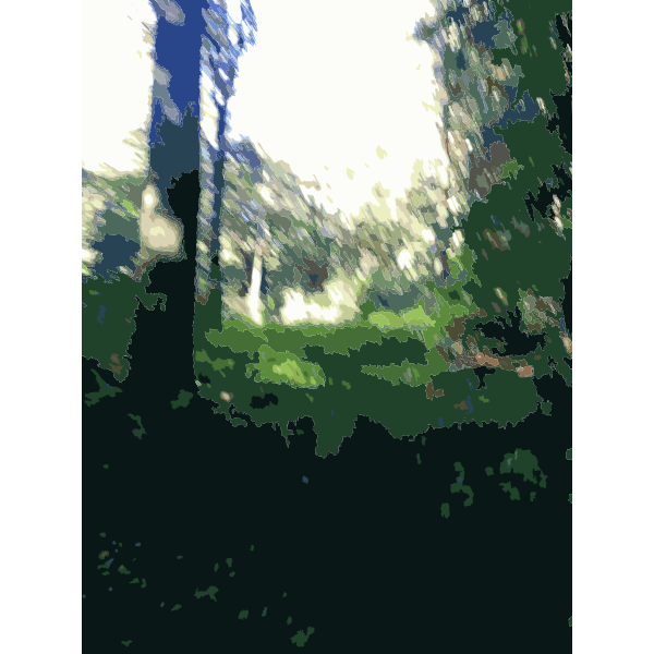 SVG Lichtscheid Forest Again 1 2015071516