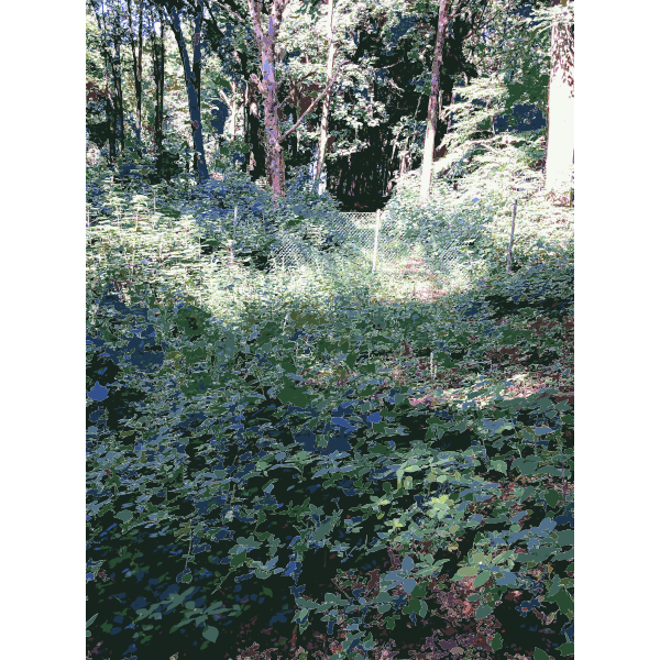 SVG Lichtscheid Forest Again 1 2015071521