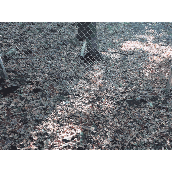 SVG Lichtscheid Forest Again 1 2015071533
