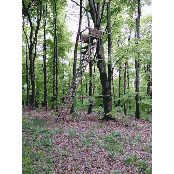 SVG Lichtscheid Forest Again 1 2015071535