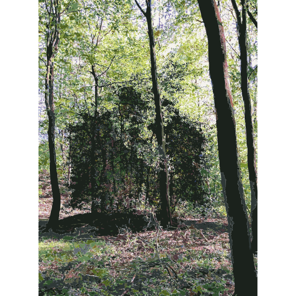 SVG Lichtscheid Forest Again 1 2015071543