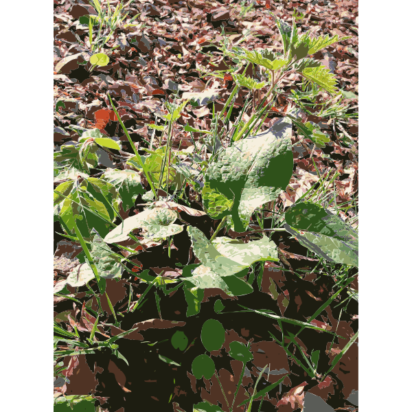 SVG Lichtscheid Forest Again 1 2015071545