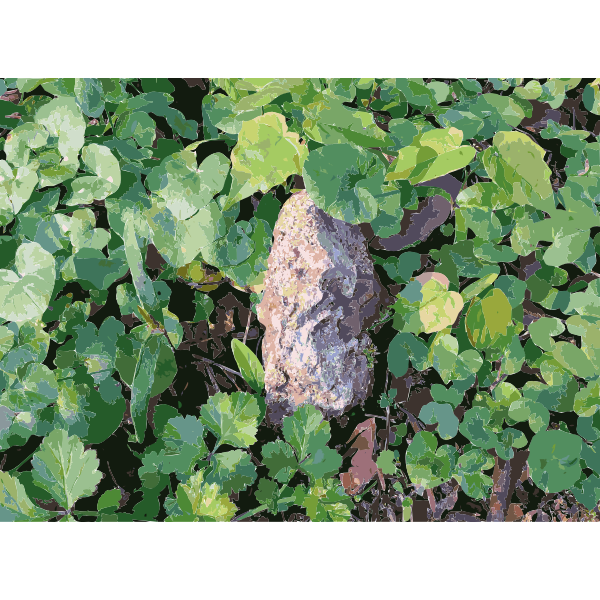SVG Lichtscheid Forest Again 1 2015071548