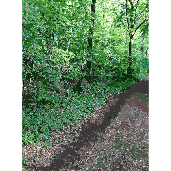 SVG Lichtscheid Forest Again 1 2015071549