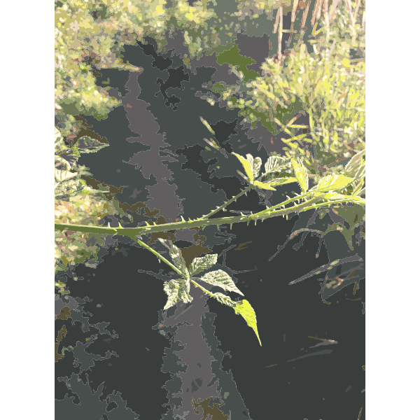 SVG Lichtscheid Forest Again 1 2015071551