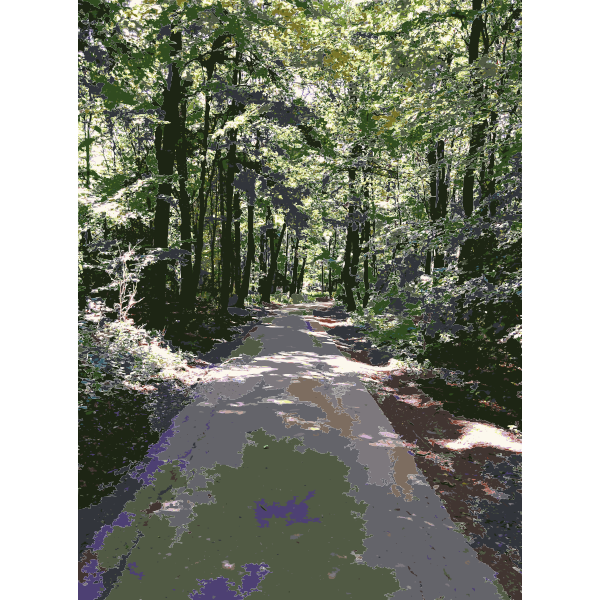 SVG Lichtscheid Forest Again 1 2015071553
