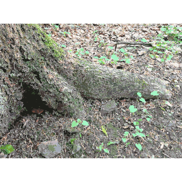 SVG Lichtscheid Forest Again 1 2015071554