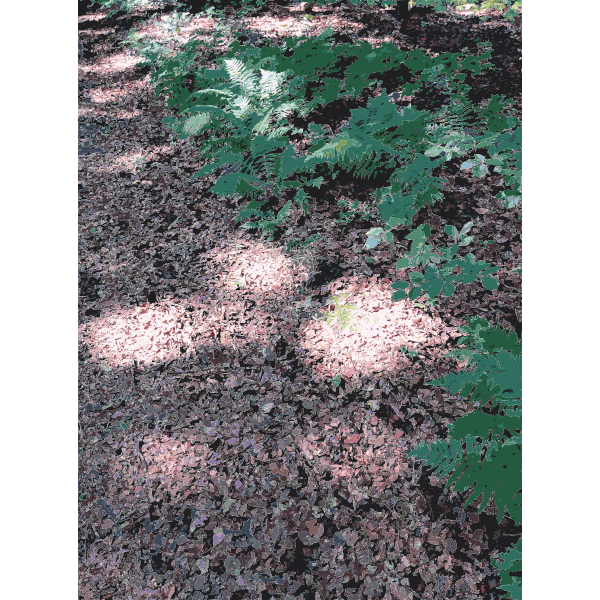 SVG Lichtscheid Forest Again 2 2015071506