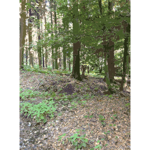 SVG Lichtscheid Forest Again 2 2015071507