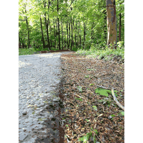 SVG Lichtscheid Forest Again 2 2015071512
