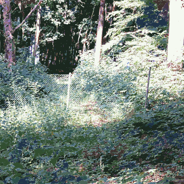 SVG Lichtscheid Forest Again 2 2015071521
