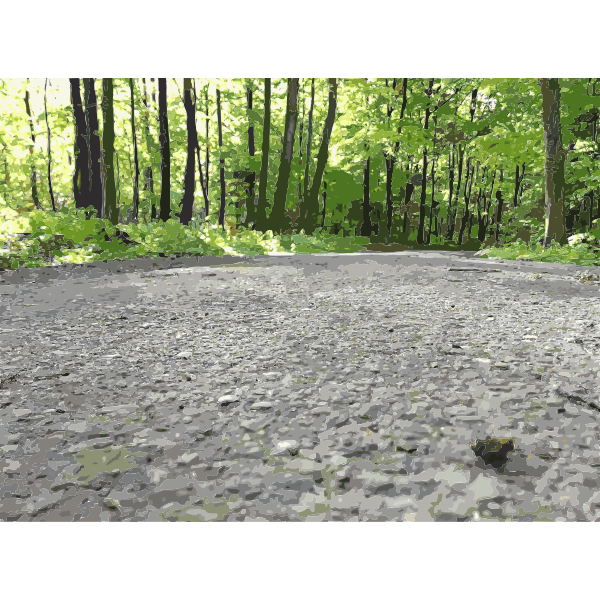 SVG Lichtscheid Forest Again 2 2015071527
