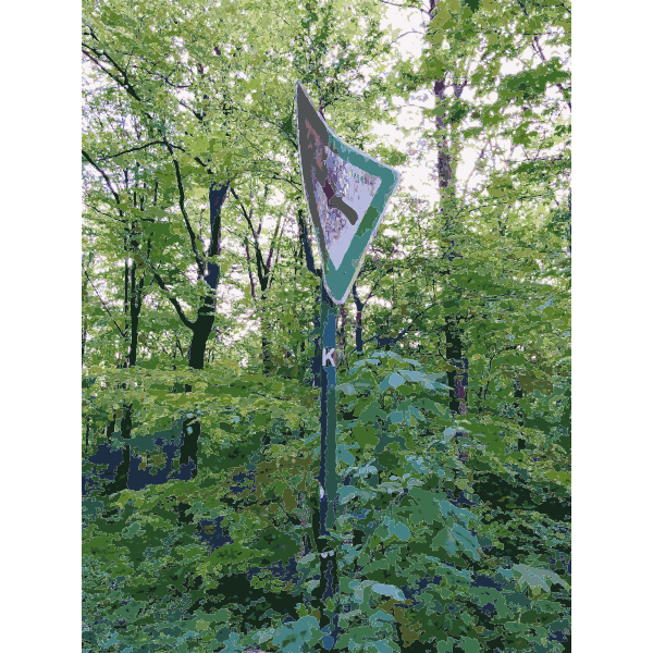 SVG Lichtscheid Forest Again 2 2015071530