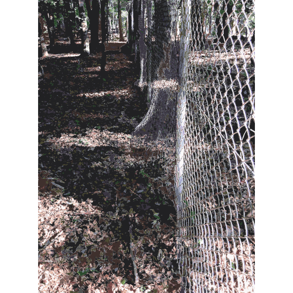 SVG Lichtscheid Forest Again 2 2015071533