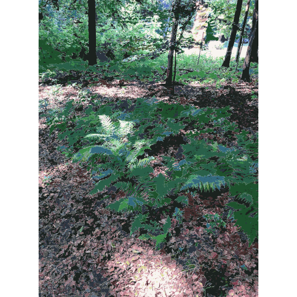 SVG Lichtscheid Forest Again 2 2015071542