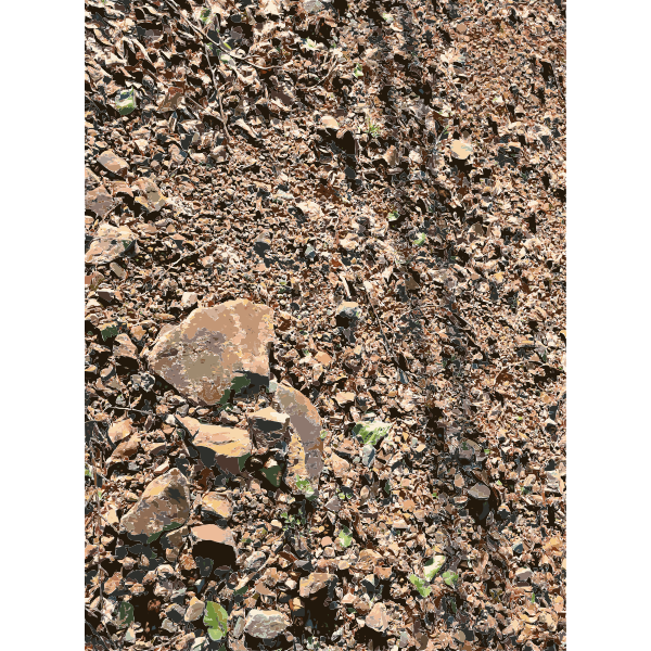 SVG Lichtscheid Forest Again 2 2015071545