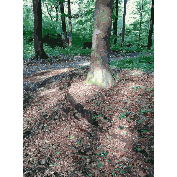 SVG Lichtscheid Forest Again 2 2015071547