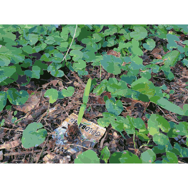 SVG Lichtscheid Forest Again 2 2015071548