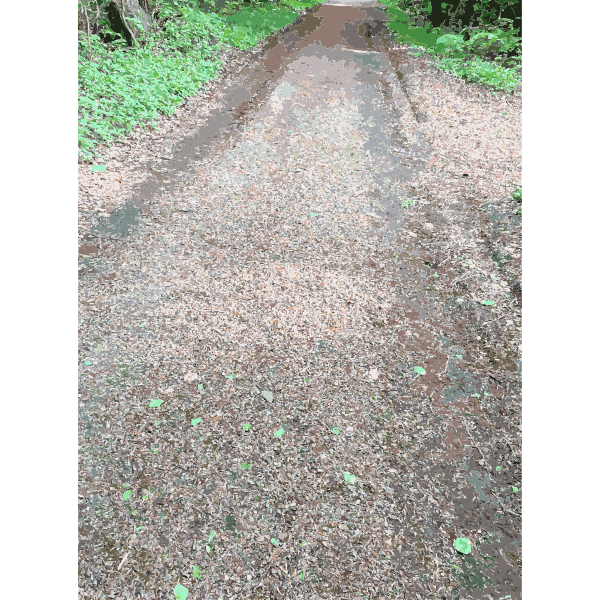 SVG Lichtscheid Forest Again 2 2015071549