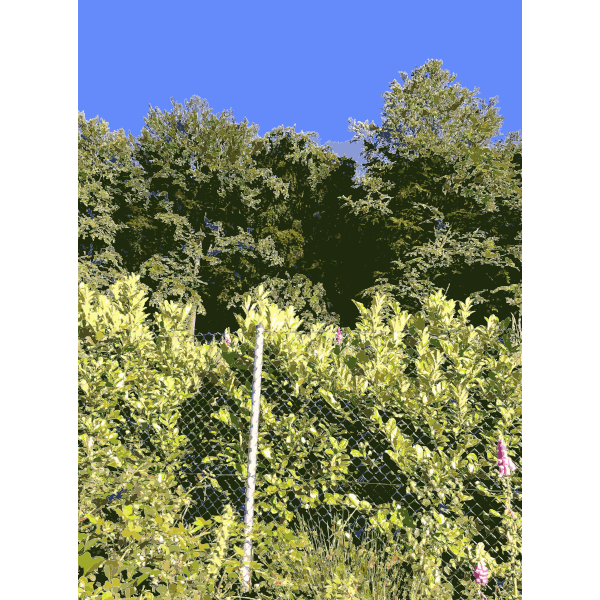 SVG Lichtscheid Forest Again 2 2015071552