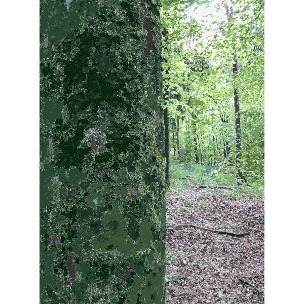 SVG Lichtscheid Forest Again 2 2015071554