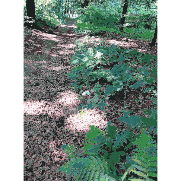 SVG Lichtscheid Forest Again 2015071506