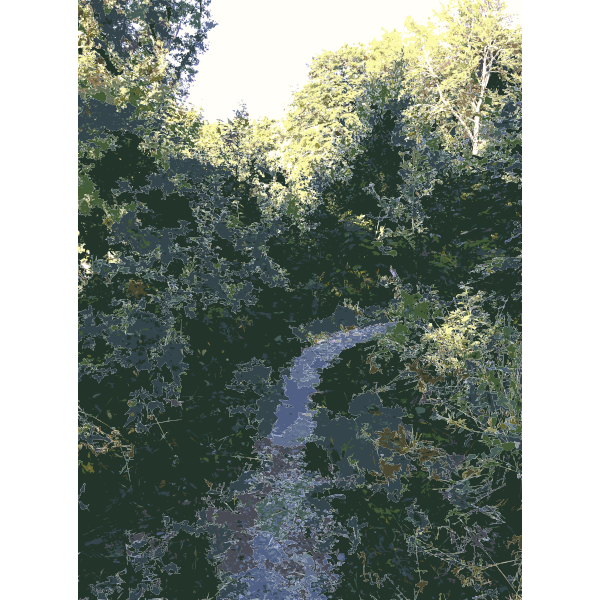 SVG Lichtscheid Forest Again 2015071507